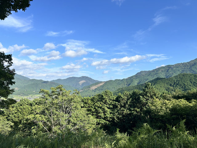 山林